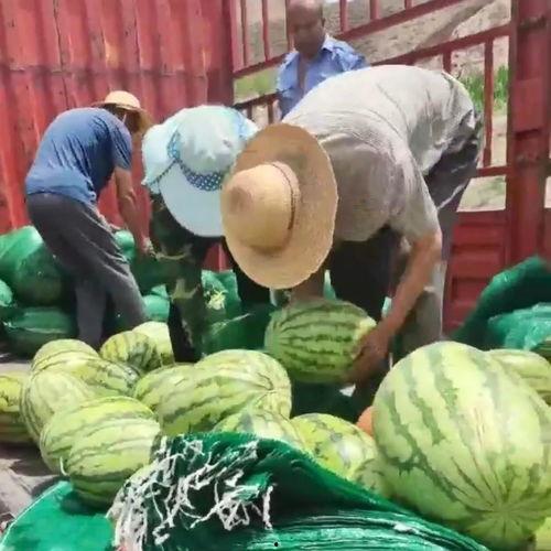 吃瓜爆料区,吃瓜爆料区带你直击明星幕后真相