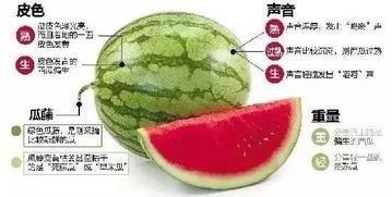 连云港网红吃瓜群微信