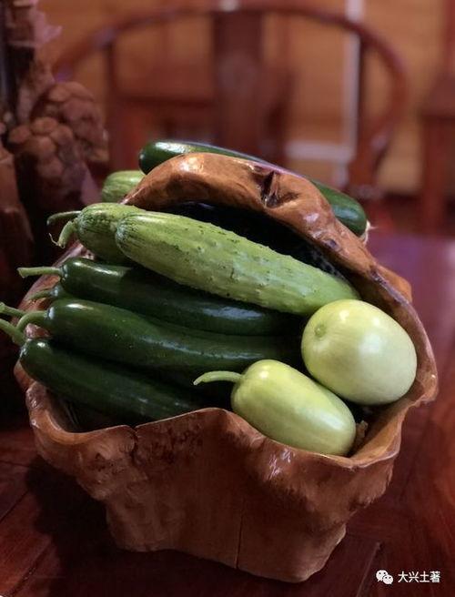 网红的吃瓜群号,一场娱乐狂欢的幕后故事