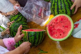 52吃瓜网改名,全新名称引领潮流